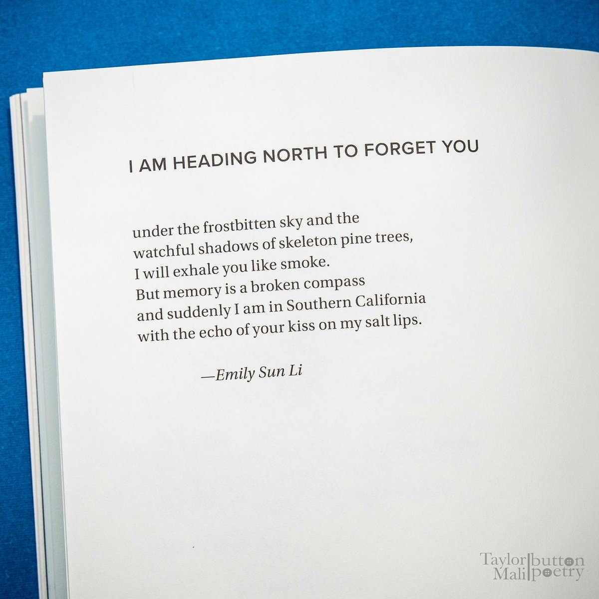 Poetry By Chance image 3